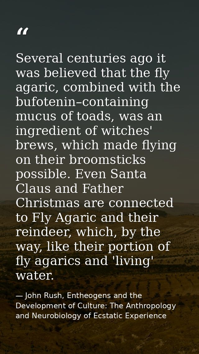 Several centuries ago it was believed that the fly agaric, combined with the bufotenin–containing mucus of toads, was an — John Rush, Entheogens and the Development of Culture: The Anthropology and Neurobiology of Ecstatic Experience