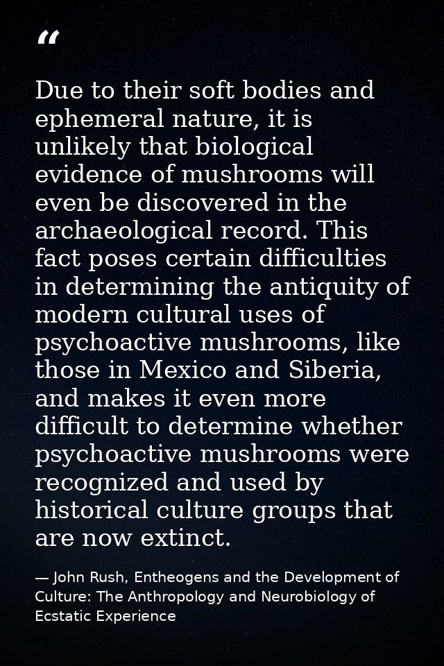 Due to their soft bodies and ephemeral nature, it is unlikely that biological evidence of mushrooms will even be discove — John Rush, Entheogens and the Development of Culture: The Anthropology and Neurobiology of Ecstatic Experience