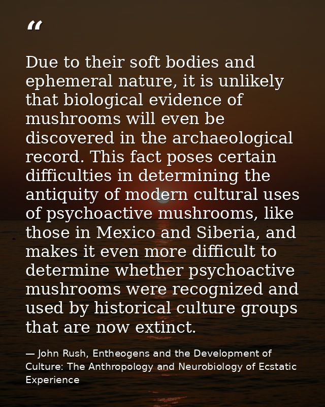 Due to their soft bodies and ephemeral nature, it is unlikely that biological evidence of mushrooms will even be discove — John Rush, Entheogens and the Development of Culture: The Anthropology and Neurobiology of Ecstatic Experience