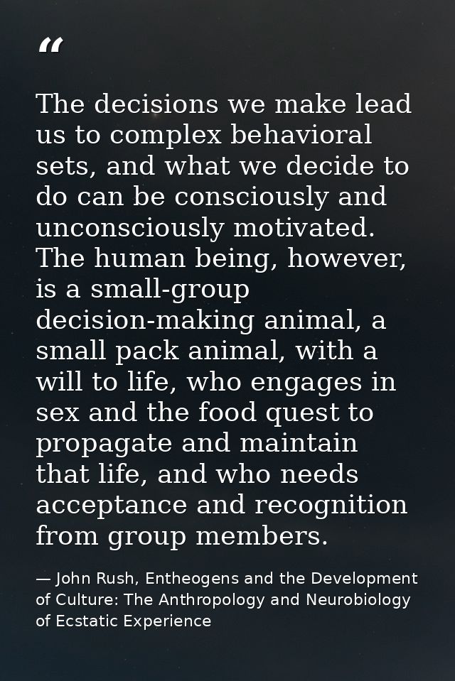 The decisions we make lead us to complex behavioral sets, and what we decide to do can be consciously and unconsciously  — John Rush, Entheogens and the Development of Culture: The Anthropology and Neurobiology of Ecstatic Experience