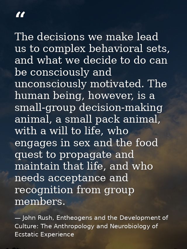The decisions we make lead us to complex behavioral sets, and what we decide to do can be consciously and unconsciously  — John Rush, Entheogens and the Development of Culture: The Anthropology and Neurobiology of Ecstatic Experience