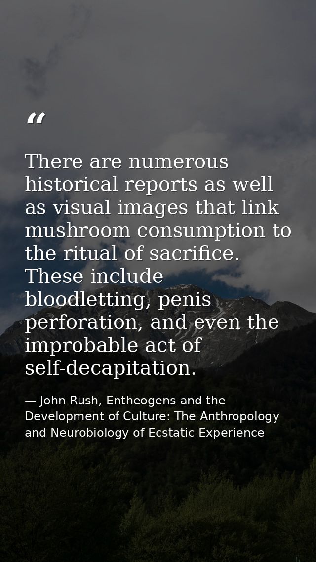 There are numerous historical reports as well as visual images that link mushroom consumption to the ritual of sacrifice — John Rush, Entheogens and the Development of Culture: The Anthropology and Neurobiology of Ecstatic Experience