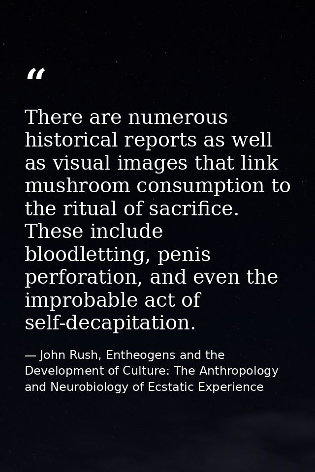 There are numerous historical reports as well as visual images that link mushroom consumption to the ritual of sacrifice — John Rush, Entheogens and the Development of Culture: The Anthropology and Neurobiology of Ecstatic Experience