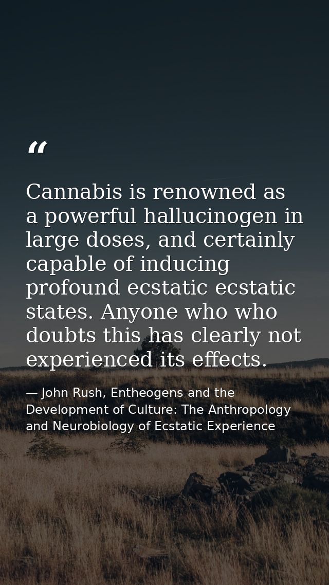 Cannabis is renowned as a powerful hallucinogen in large doses, and certainly capable of inducing profound ecstatic ecst — John Rush, Entheogens and the Development of Culture: The Anthropology and Neurobiology of Ecstatic Experience
