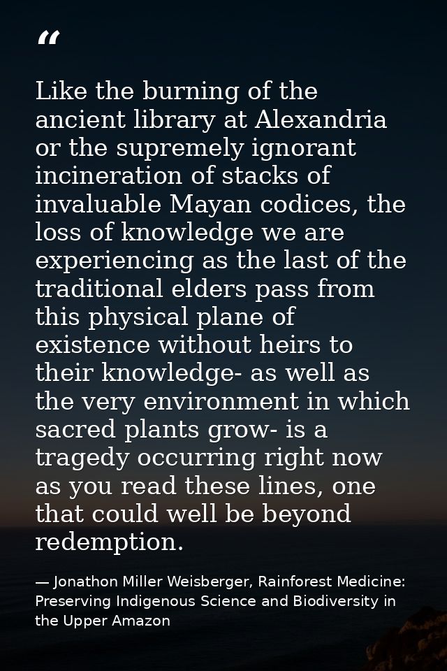 Like the burning of the ancient library at Alexandria or the supremely ignorant incineration of stacks of invaluable May — Jonathon Miller Weisberger, Rainforest Medicine: Preserving Indigenous Science and Biodiversity in the Upper Amazon