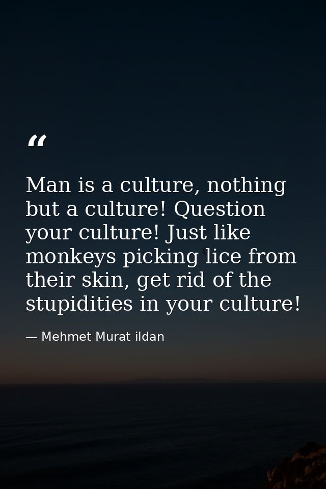 Man is a culture, nothing but a culture! Question your culture! Just like monkeys picking lice from their skin, get rid  — Mehmet Murat ildan