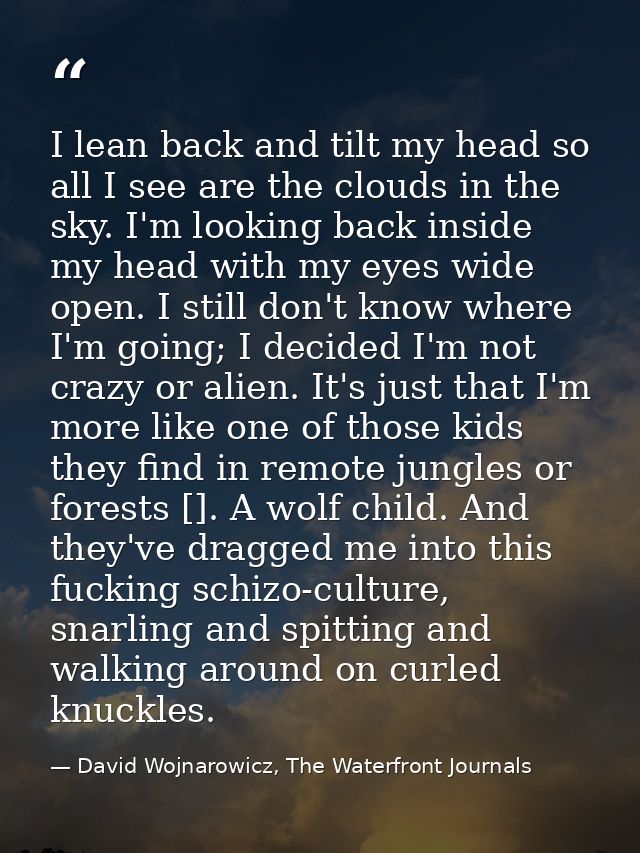 I lean back and tilt my head so all I see are the clouds in the sky. I'm looking back inside my head with my eyes wide o — David Wojnarowicz, The Waterfront Journals