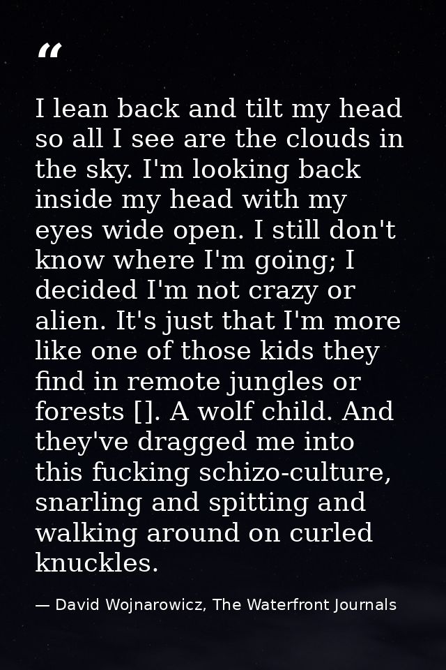 I lean back and tilt my head so all I see are the clouds in the sky. I'm looking back inside my head with my eyes wide o — David Wojnarowicz, The Waterfront Journals