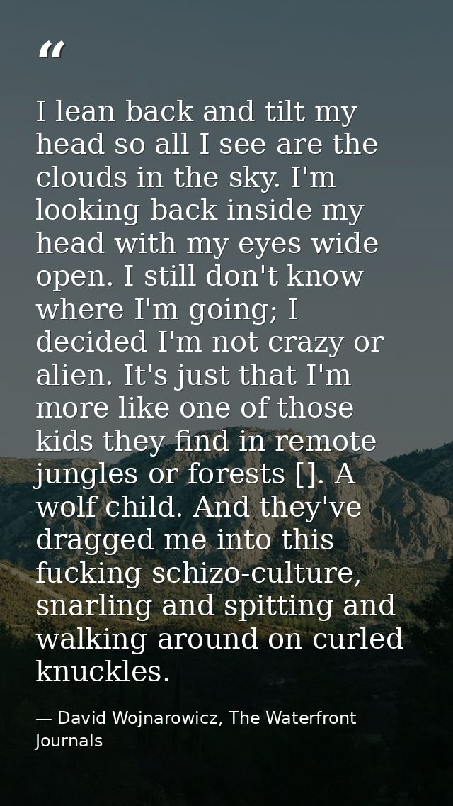 I lean back and tilt my head so all I see are the clouds in the sky. I'm looking back inside my head with my eyes wide o — David Wojnarowicz, The Waterfront Journals