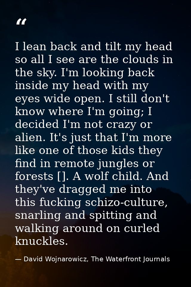I lean back and tilt my head so all I see are the clouds in the sky. I'm looking back inside my head with my eyes wide o — David Wojnarowicz, The Waterfront Journals