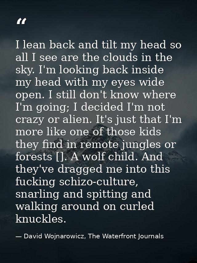 I lean back and tilt my head so all I see are the clouds in the sky. I'm looking back inside my head with my eyes wide o — David Wojnarowicz, The Waterfront Journals