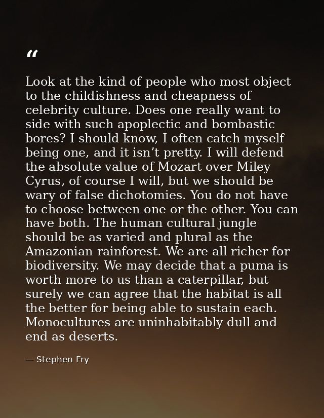 Look at the kind of people who most object to the childishness and cheapness of celebrity culture. Does one really want  — Stephen Fry