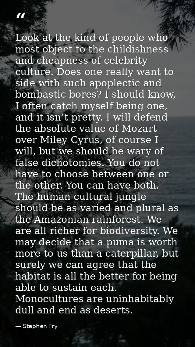 Look at the kind of people who most object to the childishness and cheapness of celebrity culture. Does one really want  — Stephen Fry