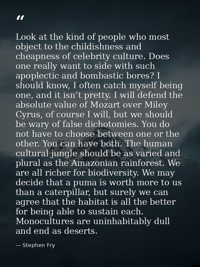 Look at the kind of people who most object to the childishness and cheapness of celebrity culture. Does one really want  — Stephen Fry
