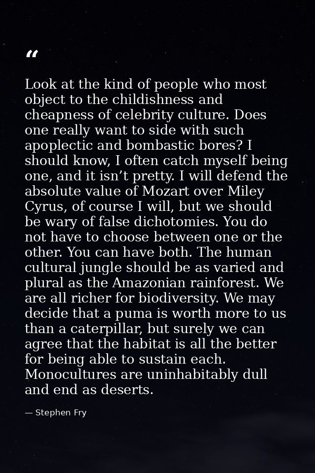 Look at the kind of people who most object to the childishness and cheapness of celebrity culture. Does one really want  — Stephen Fry