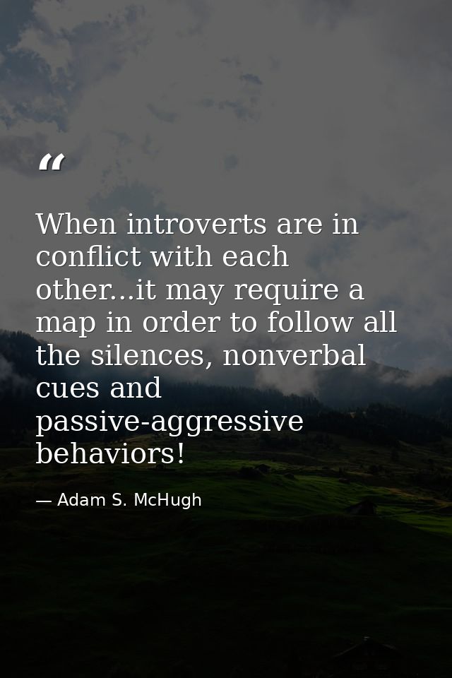 When introverts are in conflict with each other...it may require a map in order to follow all the silences, nonverbal cu — Adam S. McHugh