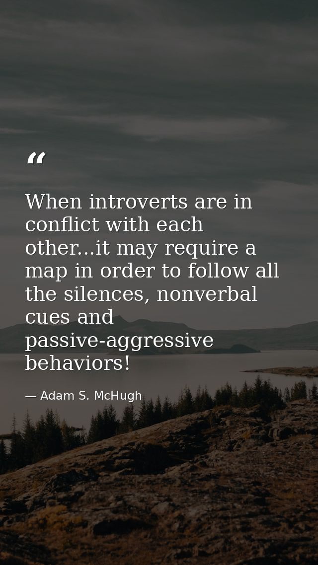 When introverts are in conflict with each other...it may require a map in order to follow all the silences, nonverbal cu — Adam S. McHugh