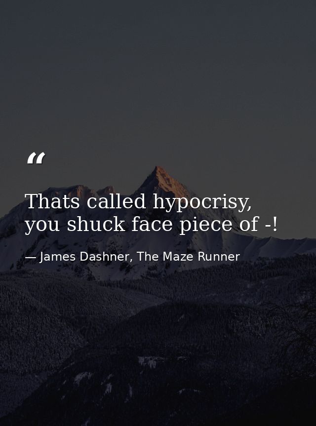 Thats called hypocrisy, you shuck face piece of -! — James Dashner, The Maze Runner