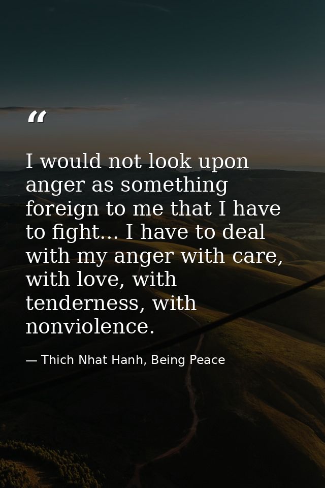 I would not look upon anger as something foreign to me that I have to fight... I have to deal with my anger with care, w — Thich Nhat Hanh, Being Peace