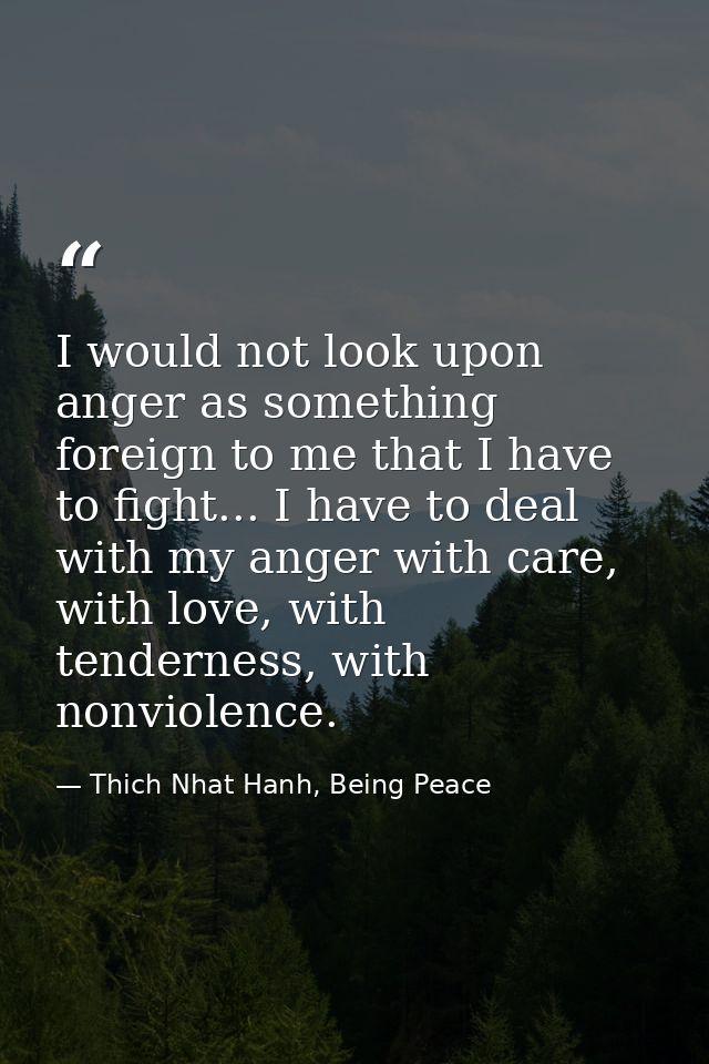 I would not look upon anger as something foreign to me that I have to fight... I have to deal with my anger with care, w — Thich Nhat Hanh, Being Peace