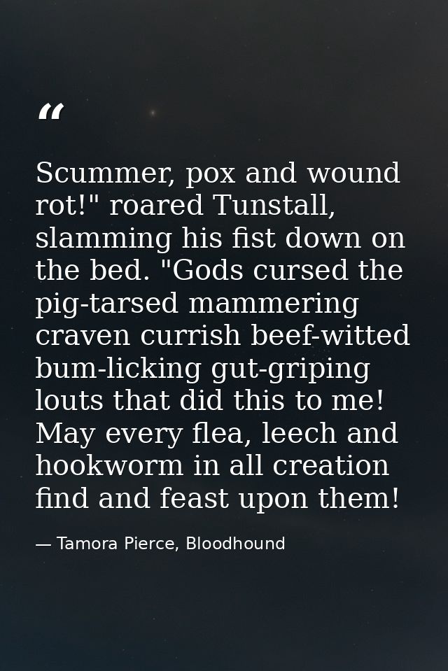 Scummer, pox and wound rot!" roared Tunstall, slamming his fist down on the bed. "Gods cursed the pig-tarsed mammering c — Tamora Pierce, Bloodhound