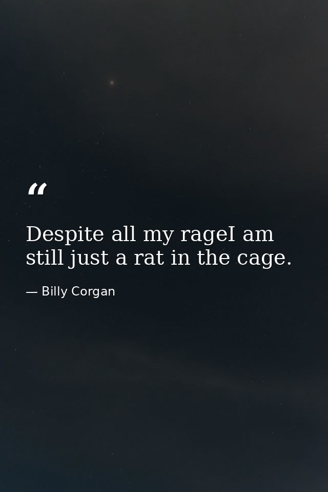 Despite all my rageI am still just a rat in the cage. — Billy Corgan