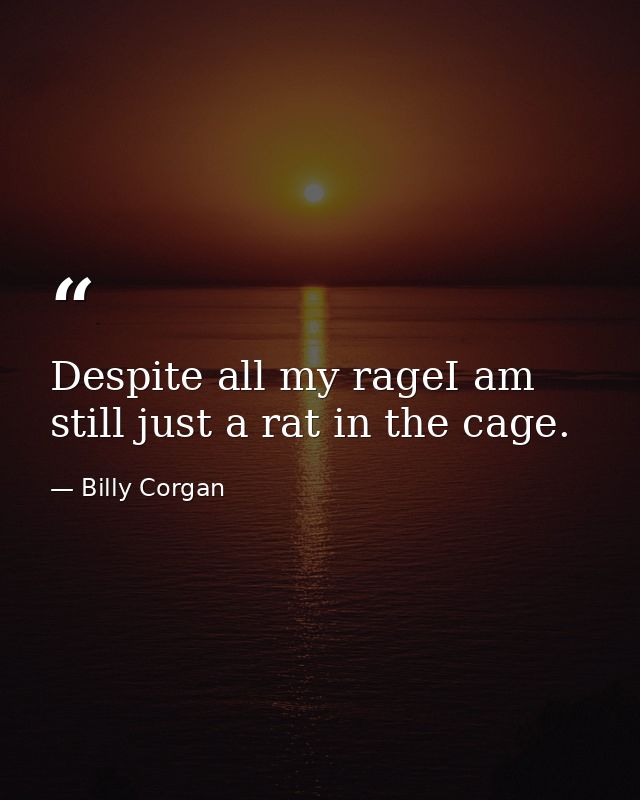Despite all my rageI am still just a rat in the cage. — Billy Corgan