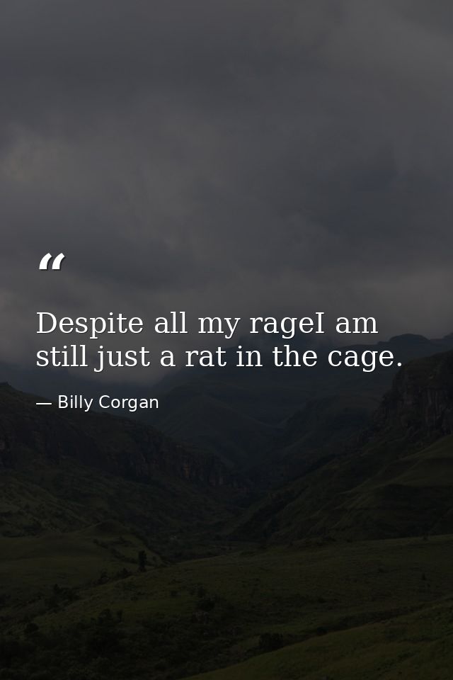 Despite all my rageI am still just a rat in the cage. — Billy Corgan
