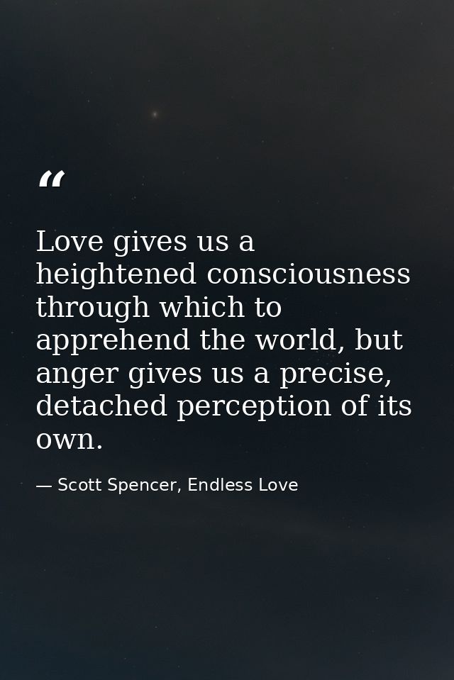 Love gives us a heightened consciousness through which to apprehend the world, but anger gives us a precise, detached pe — Scott Spencer, Endless Love