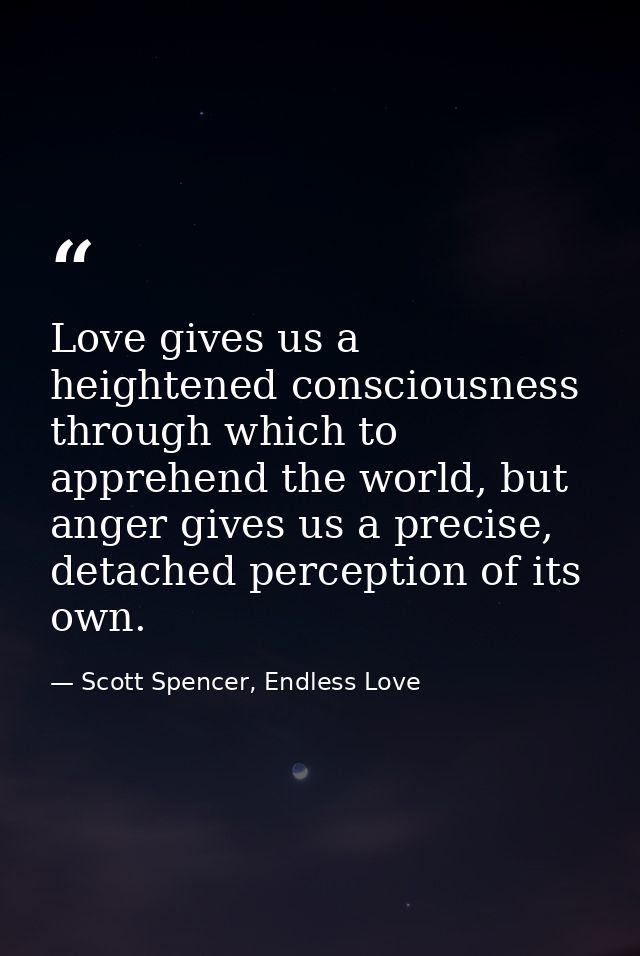 Love gives us a heightened consciousness through which to apprehend the world, but anger gives us a precise, detached pe — Scott Spencer, Endless Love