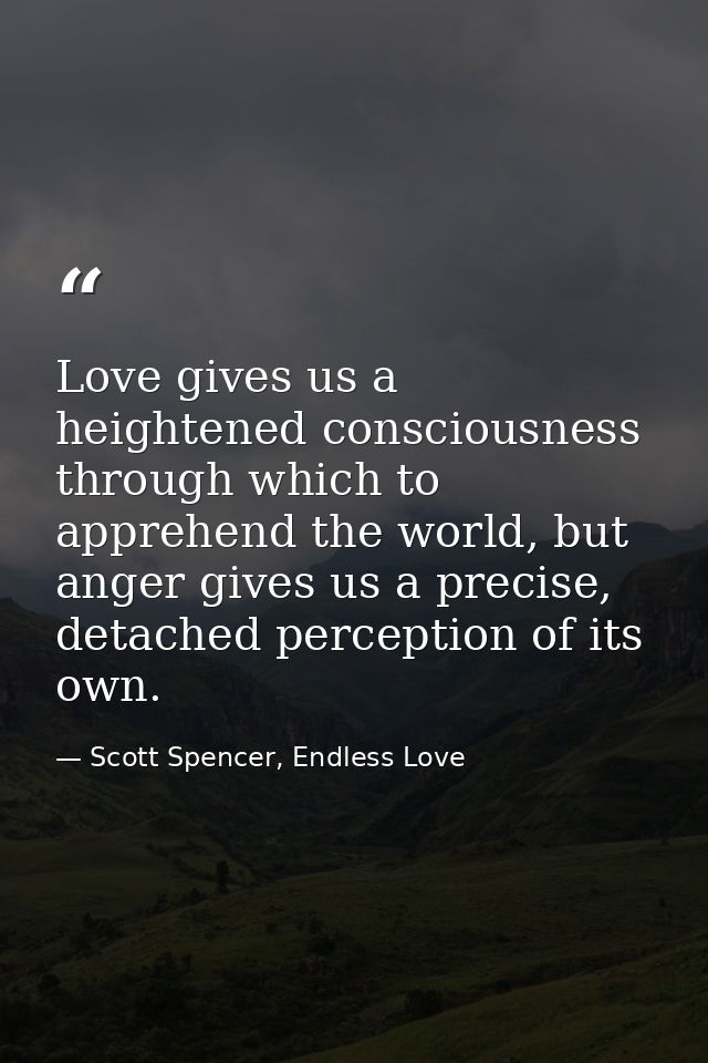 Love gives us a heightened consciousness through which to apprehend the world, but anger gives us a precise, detached pe — Scott Spencer, Endless Love