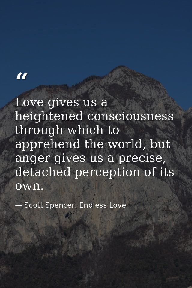 Love gives us a heightened consciousness through which to apprehend the world, but anger gives us a precise, detached pe — Scott Spencer, Endless Love