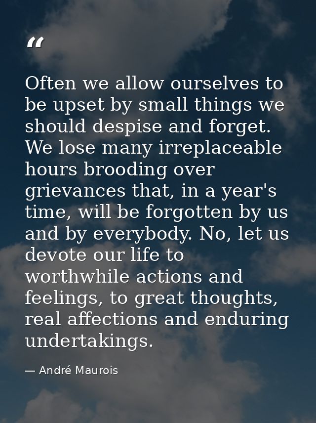 Often we allow ourselves to be upset by small things we should despise and forget. We lose many irreplaceable hours broo — André Maurois