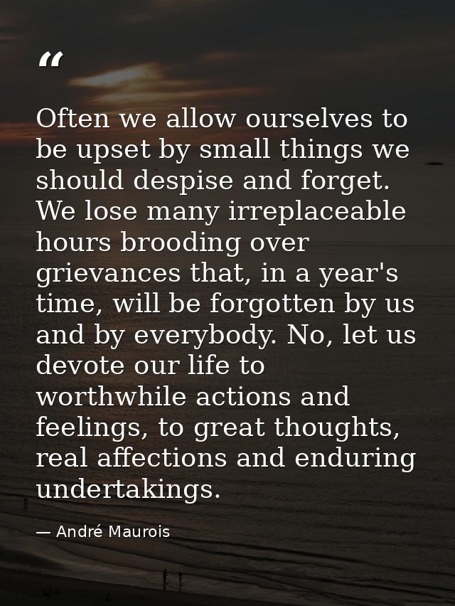Often we allow ourselves to be upset by small things we should despise and forget. We lose many irreplaceable hours broo — André Maurois