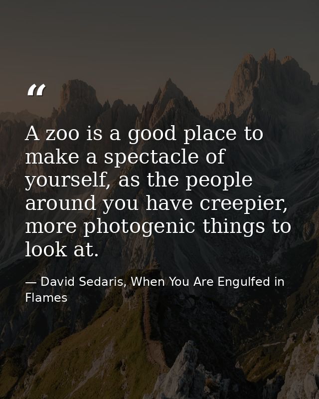 A zoo is a good place to make a spectacle of yourself, as the people around you have creepier, more photogenic things to — David Sedaris, When You Are Engulfed in Flames