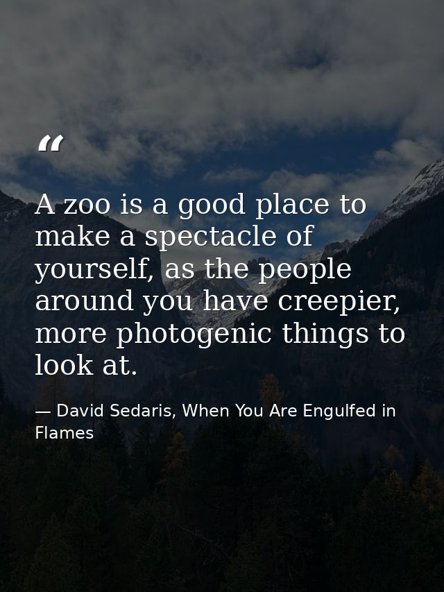 A zoo is a good place to make a spectacle of yourself, as the people around you have creepier, more photogenic things to — David Sedaris, When You Are Engulfed in Flames