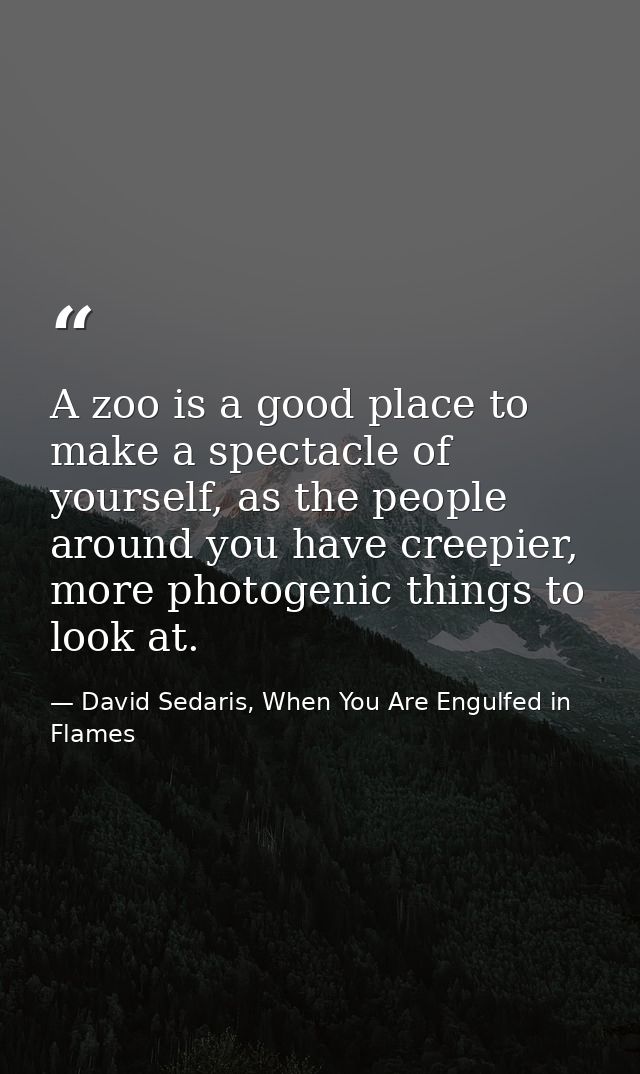 A zoo is a good place to make a spectacle of yourself, as the people around you have creepier, more photogenic things to — David Sedaris, When You Are Engulfed in Flames