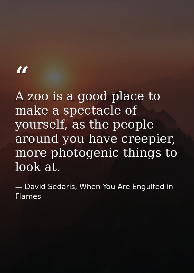 A zoo is a good place to make a spectacle of yourself, as the people around you have creepier, more photogenic things to — David Sedaris, When You Are Engulfed in Flames