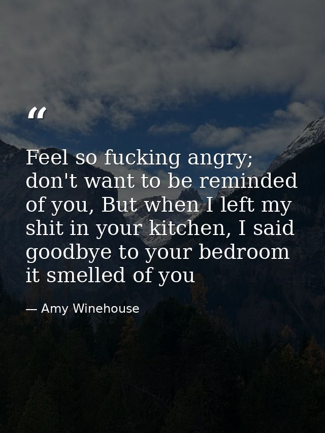 Feel so fucking angry; don't want to be reminded of you, But when I left my shit in your kitchen, I said goodbye to your — Amy Winehouse
