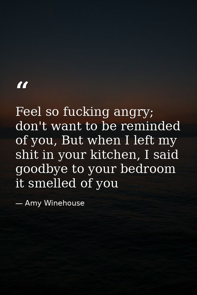 Feel so fucking angry; don't want to be reminded of you, But when I left my shit in your kitchen, I said goodbye to your — Amy Winehouse