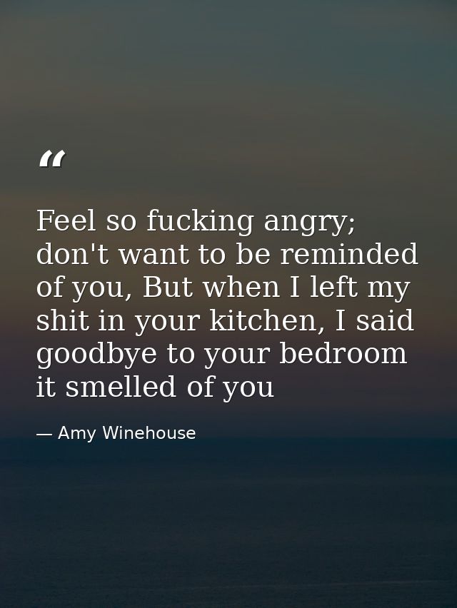 Feel so fucking angry; don't want to be reminded of you, But when I left my shit in your kitchen, I said goodbye to your — Amy Winehouse