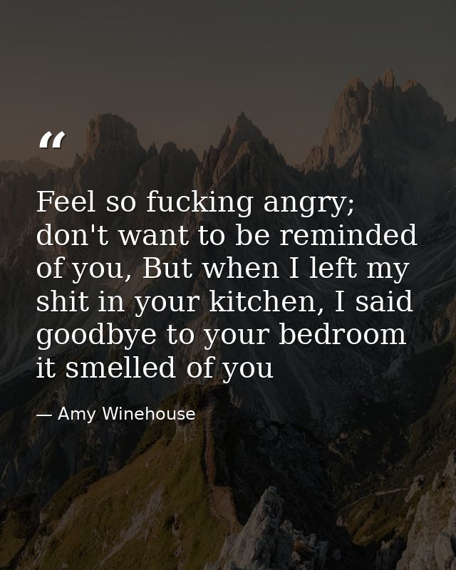Feel so fucking angry; don't want to be reminded of you, But when I left my shit in your kitchen, I said goodbye to your — Amy Winehouse