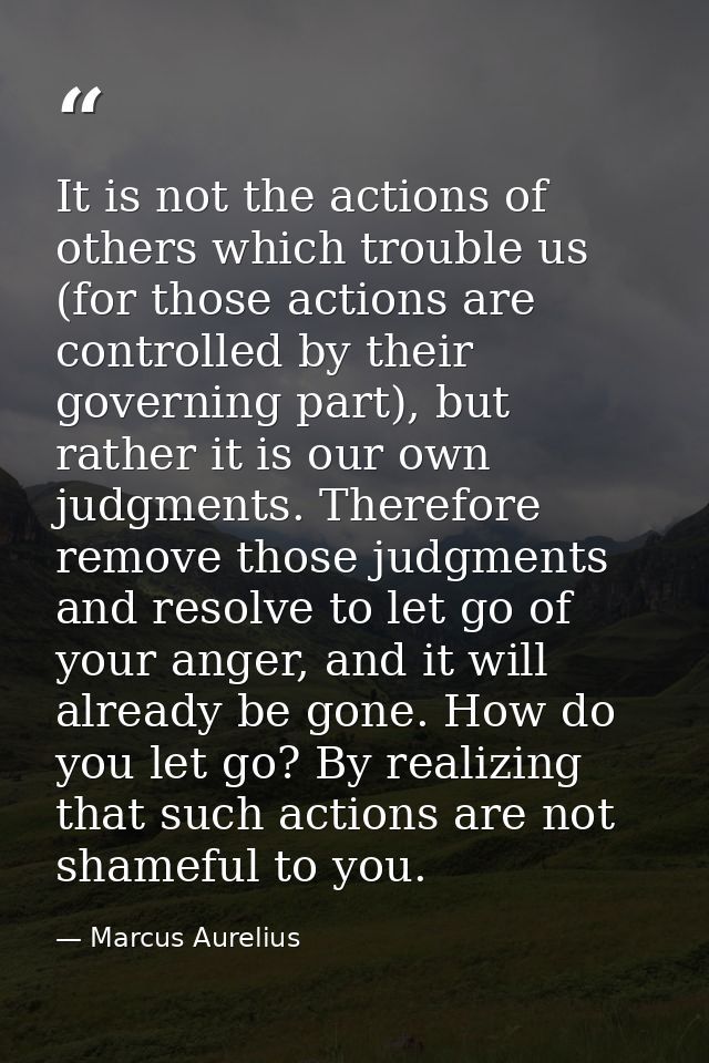 It is not the actions of others which trouble us (for those actions are controlled by their governing part), but rather  — Marcus Aurelius