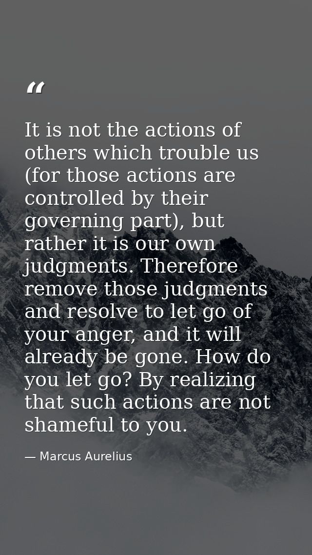 It is not the actions of others which trouble us (for those actions are controlled by their governing part), but rather  — Marcus Aurelius