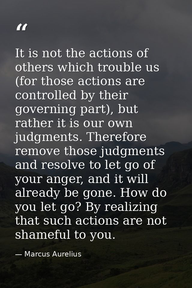 It is not the actions of others which trouble us (for those actions are controlled by their governing part), but rather  — Marcus Aurelius