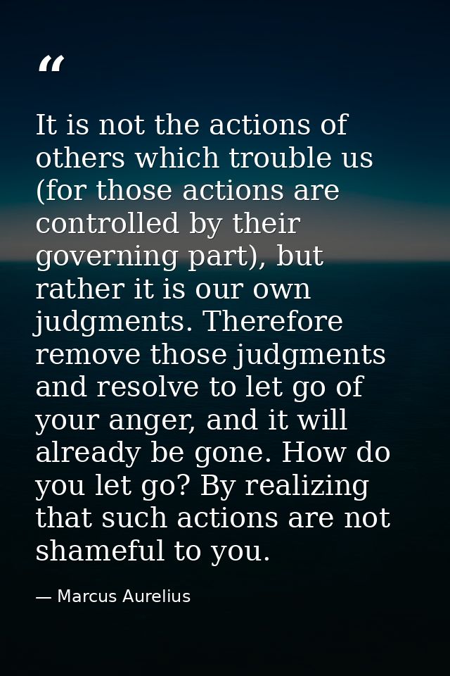 It is not the actions of others which trouble us (for those actions are controlled by their governing part), but rather  — Marcus Aurelius