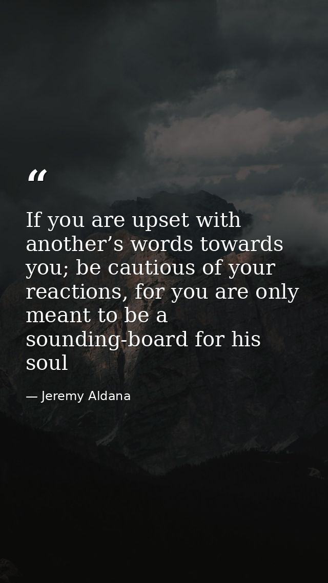 If you are upset with another’s words towards you; be cautious of your reactions, for you are only meant to be a soundin — Jeremy Aldana