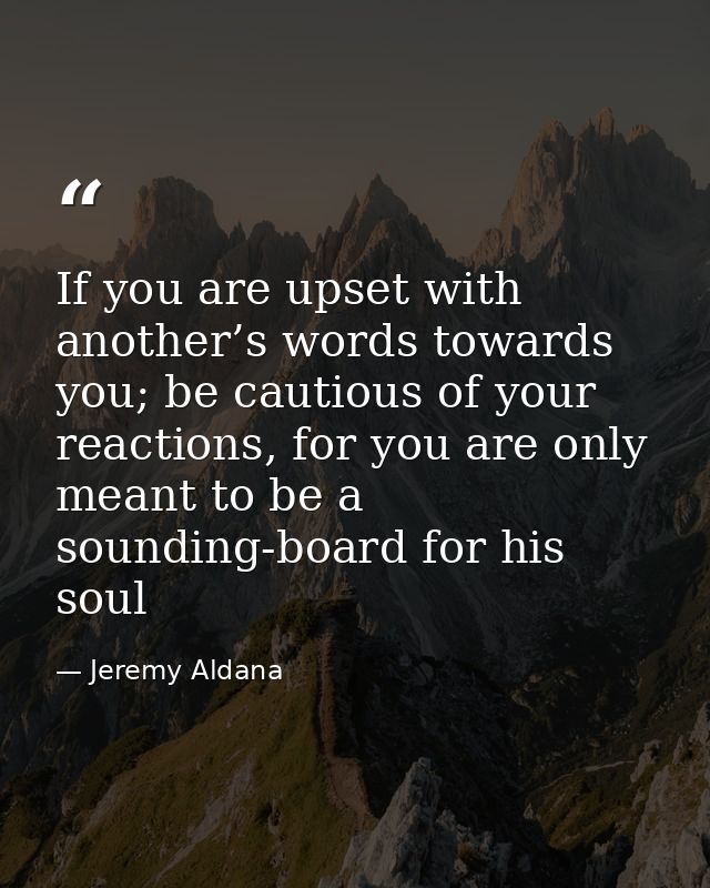 If you are upset with another’s words towards you; be cautious of your reactions, for you are only meant to be a soundin — Jeremy Aldana
