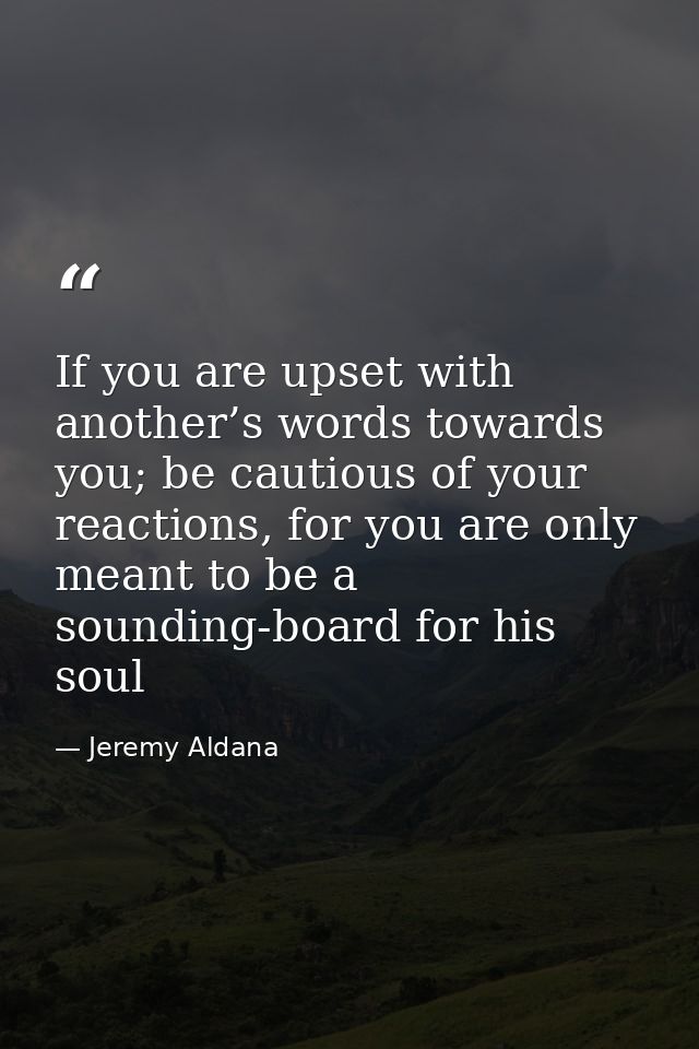If you are upset with another’s words towards you; be cautious of your reactions, for you are only meant to be a soundin — Jeremy Aldana