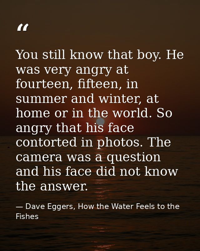 You still know that boy. He was very angry at fourteen, fifteen, in summer and winter, at home or in the world. So angry — Dave Eggers, How the Water Feels to the Fishes